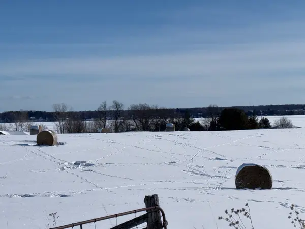 Frontenac Islands, ON K0H 2Y0,PT LT 8 ROAD 96 N/A