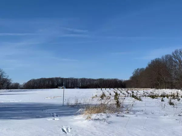 Frontenac Islands, ON K0H 2Y0,PT LT 8 ROAD 96 N/A