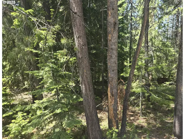 Crescent Lake, OR 97733,26 Diamond Peak Dr