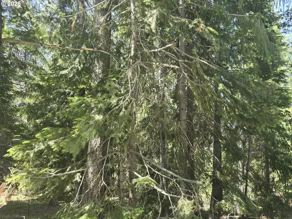 Crescent Lake, OR 97733,26 Diamond Peak Dr