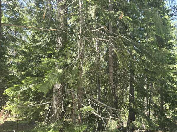 26 Diamond Peak Dr, Crescent Lake, OR 97733