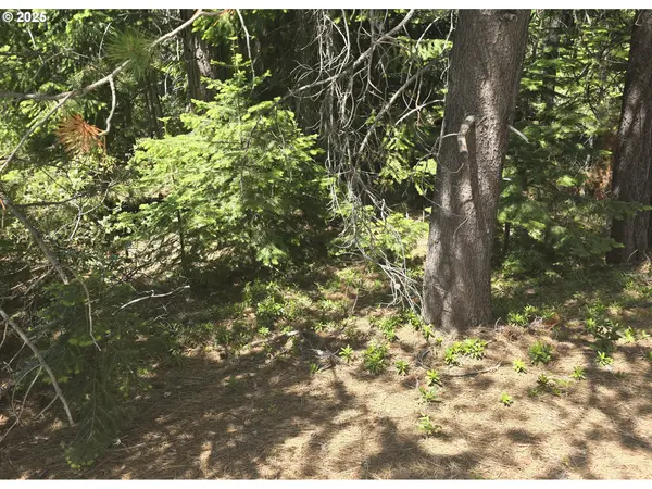 26 Diamond Peak Dr, Crescent Lake, OR 97733