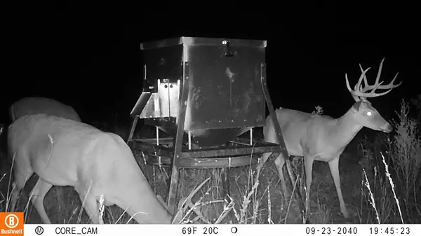 Bryson, TX 76458,0000 Marley Road