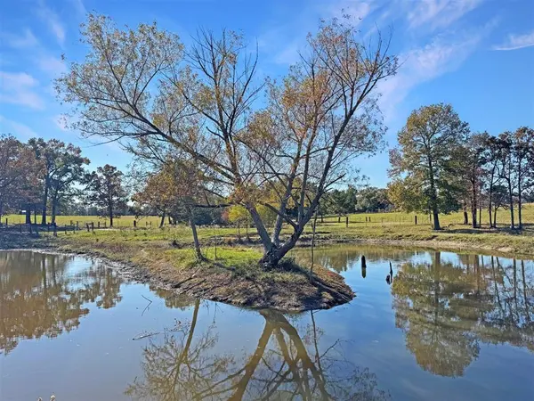 573 Van Zandt County Road 1208, Canton, TX 75103