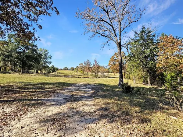 573 Van Zandt County Road 1208, Canton, TX 75103