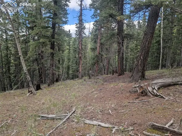 2455 Yorktown RD, Cripple Creek, CO 80813