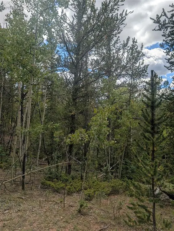 2455 Yorktown RD, Cripple Creek, CO 80813