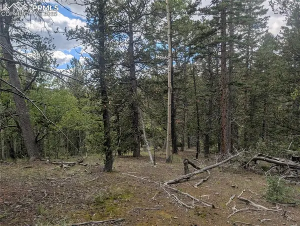 2455 Yorktown RD, Cripple Creek, CO 80813