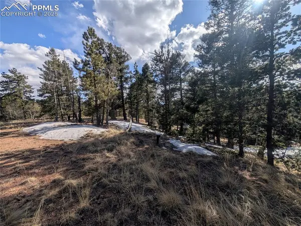 56 Rampart CIR, Florissant, CO 80816