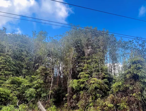 18-1280 KAUAI ST, Mountain View, HI 96771