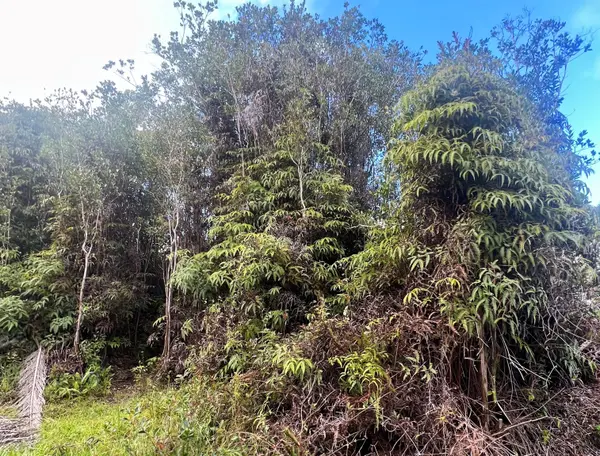 18-1280 KAUAI ST, Mountain View, HI 96771