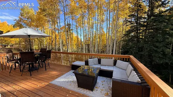 263 Wakanda TRL, Woodland Park, CO 80863