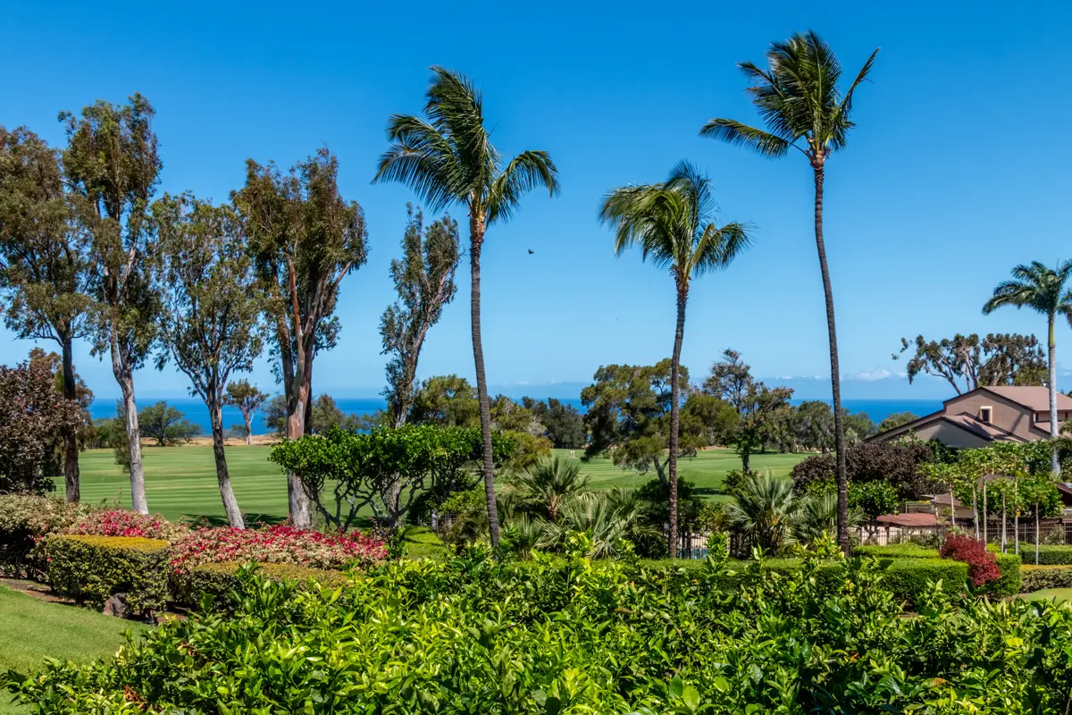68-3840 LUA KULA ST #D201, Waikoloa, HI 96738