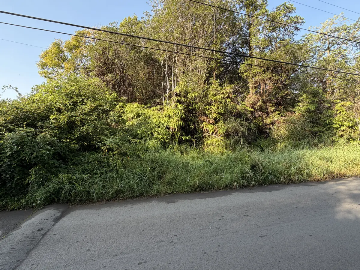 PALM TREE DR, Mountain View, HI 96771