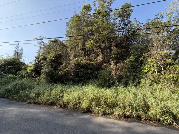 PALM TREE DR, Mountain View, HI 96771