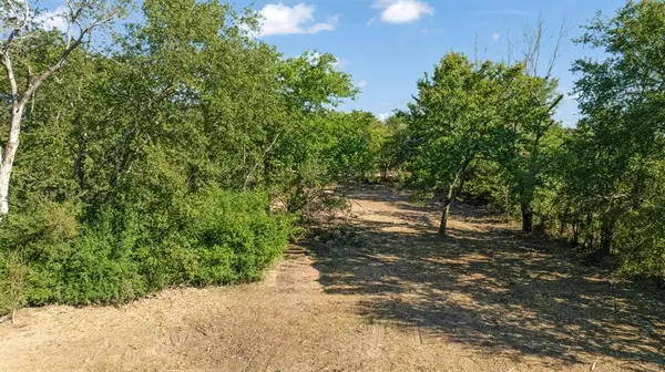 TBD FR 194, Blossom, TX 75416