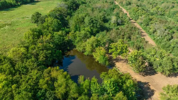 TBD FR 194, Blossom, TX 75416