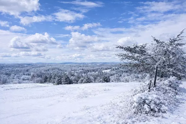 Hamilton Township, ON K7G 2V6,4836 45 HWY