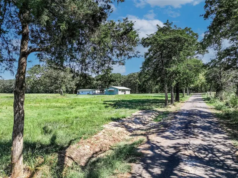 TBD 6.5 Acres County Road 1160, Brashear, TX 75420