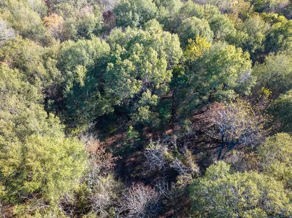 TBD CR 2110, Clarksville, TX 75426