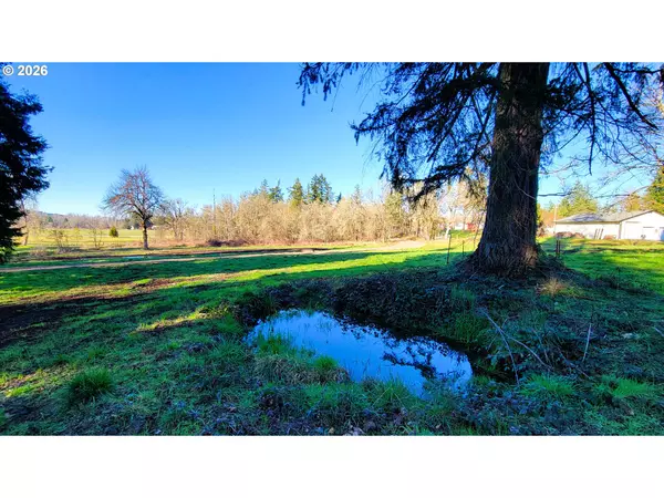 Dexter, OR 97431,Rogers LN #1