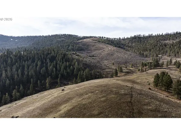 Map01N420 Taxlot4907, Wallowa, OR 97885