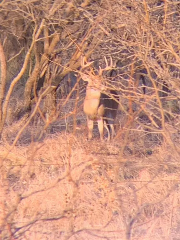 Ballinger, TX 76882,TBD E 67 Highway