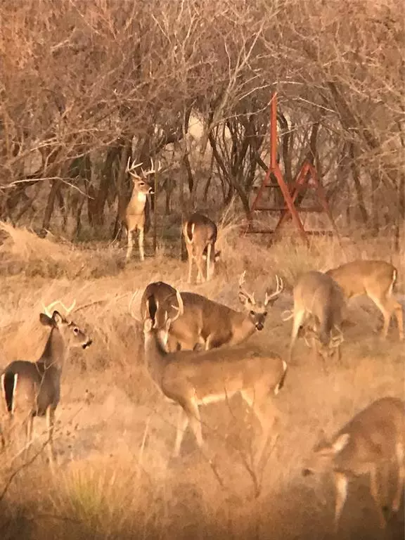 Ballinger, TX 76882,TBD E 67 Highway