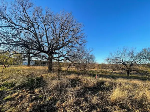 180 brazos west dr, Mineral Wells, TX 76067