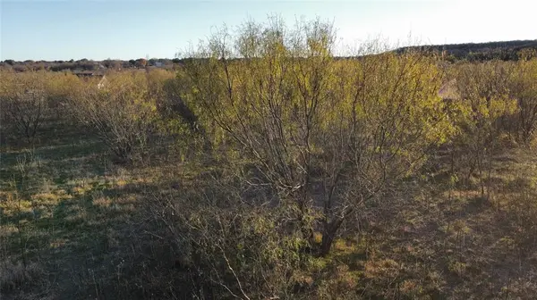 180 brazos west dr, Mineral Wells, TX 76067