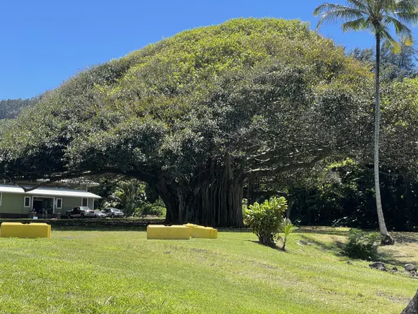 36-1070 LAUPAHOEHOE POINT RD, Laupahoehoe, HI 96764