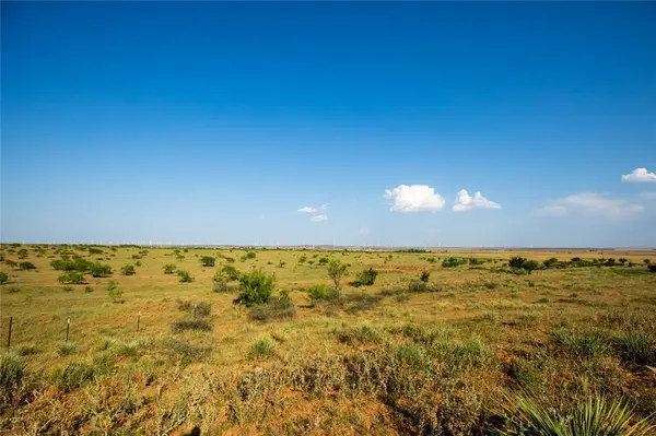 TBD County Road 458, Colorado City, TX 79512