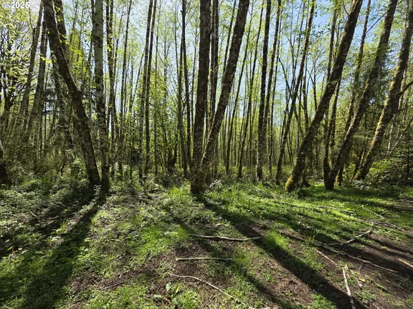 Mill Falls LN, Longview, WA 98632