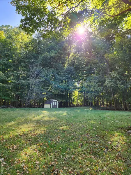 15973 Walnut ST, Buchanan Township, MI 49107