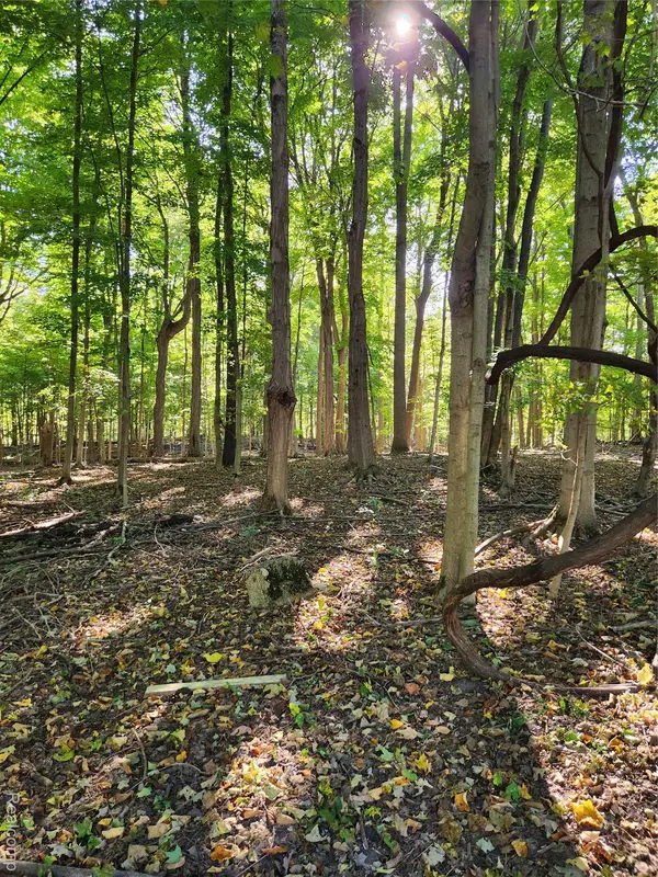 15973 Walnut ST, Buchanan Township, MI 49107