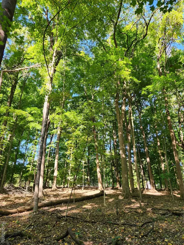 15973 Walnut ST, Buchanan Township, MI 49107