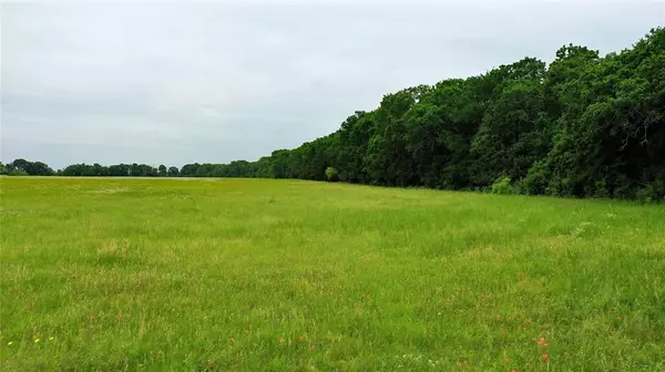 TBD County Road 1242, Cleburne, TX 76033