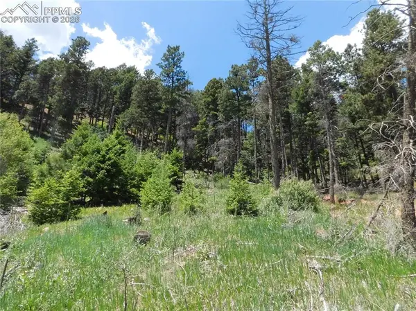 Lot 11 Woodmoor West DR, Larkspur, CO 80118