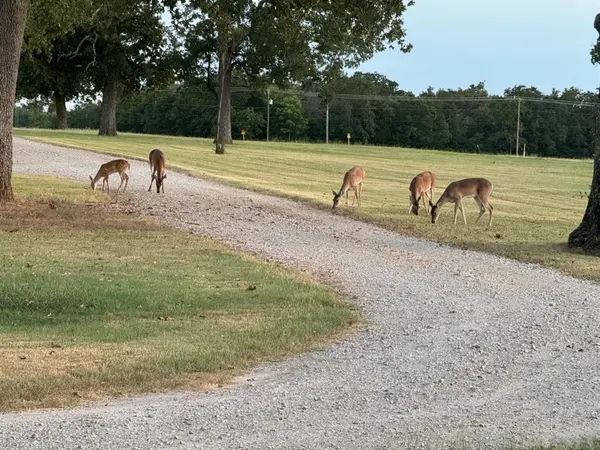 9748 County Road 1200, Athens, TX 75751