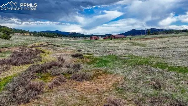 315 Empire RD, Florissant, CO 80816