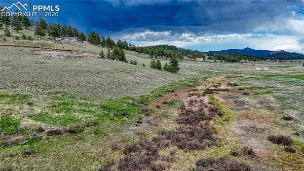 315 Empire RD, Florissant, CO 80816