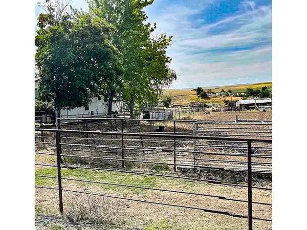 260 N E ST, Lexington, OR 97839