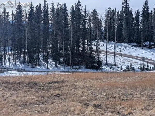 307 Pinaceae HTS, Divide, CO 80814