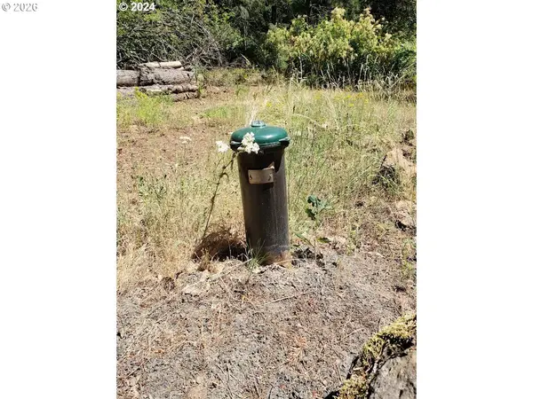 492 Sleepy Hollow RD, Lyle, WA 98635