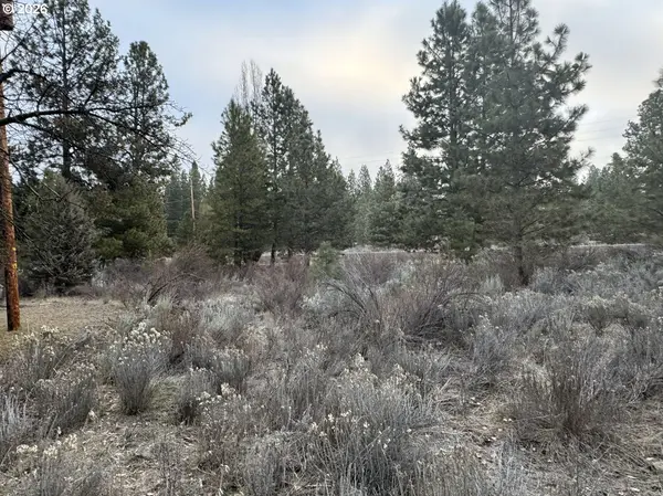 Chiloquin, OR 97624,Cahuilla Circle #10