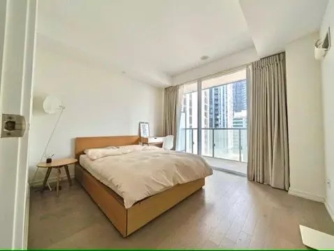 Toronto C01, ON M5V 2G9,101 Peter ST #1707