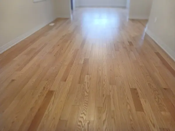 113 Waters WAY, Wellington North, ON N0G 1A0