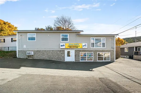 6 Dillon Crescent, St. Johns, NL A0A1JO