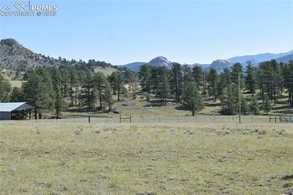 431 High Chateau RD, Florissant, CO 80816