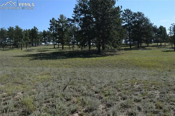 431 High Chateau RD, Florissant, CO 80816